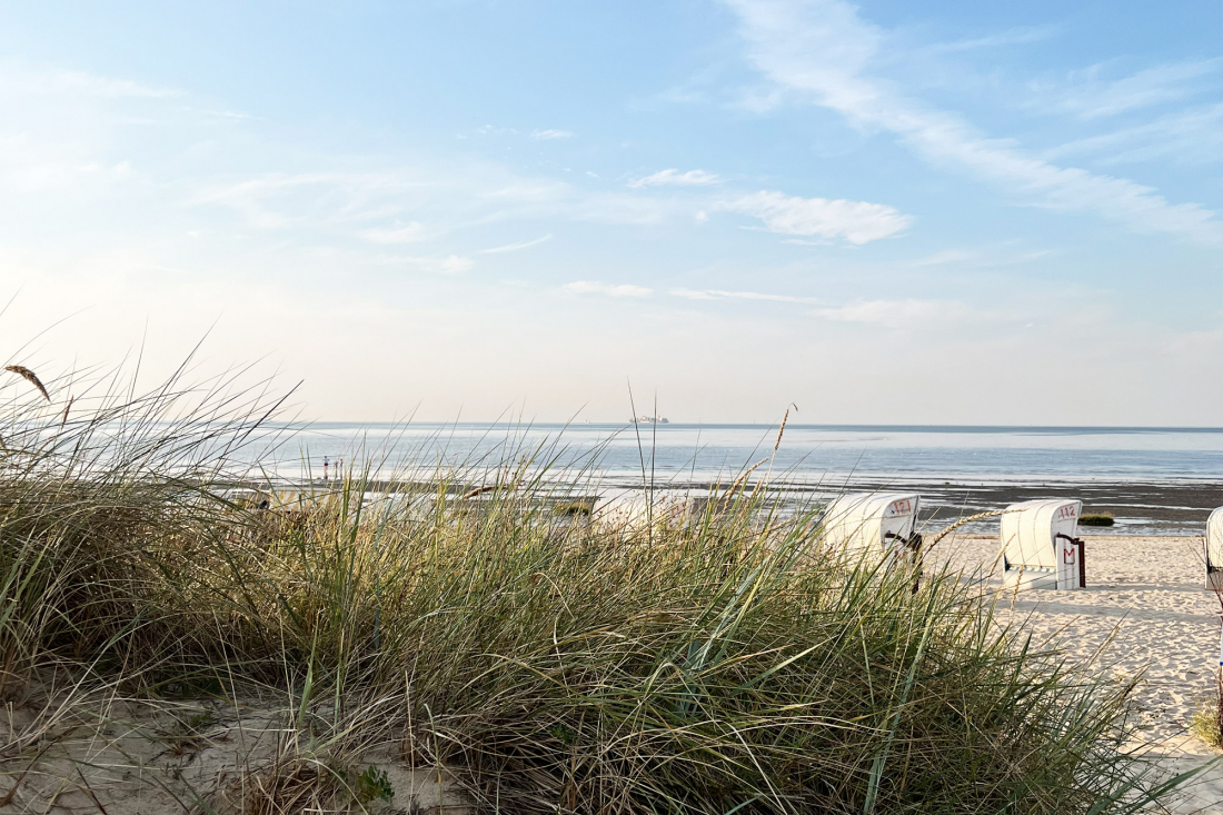 Im Vordergrund hohes Strandgras, dazu weiße Strandkörbe am Strand in Duhnen. Im Hintergrund befindet sich die Nordsee bei ablaufend Wasser und blauem Himmel; am fernen Horizont ist ein Schiff zu sehen.