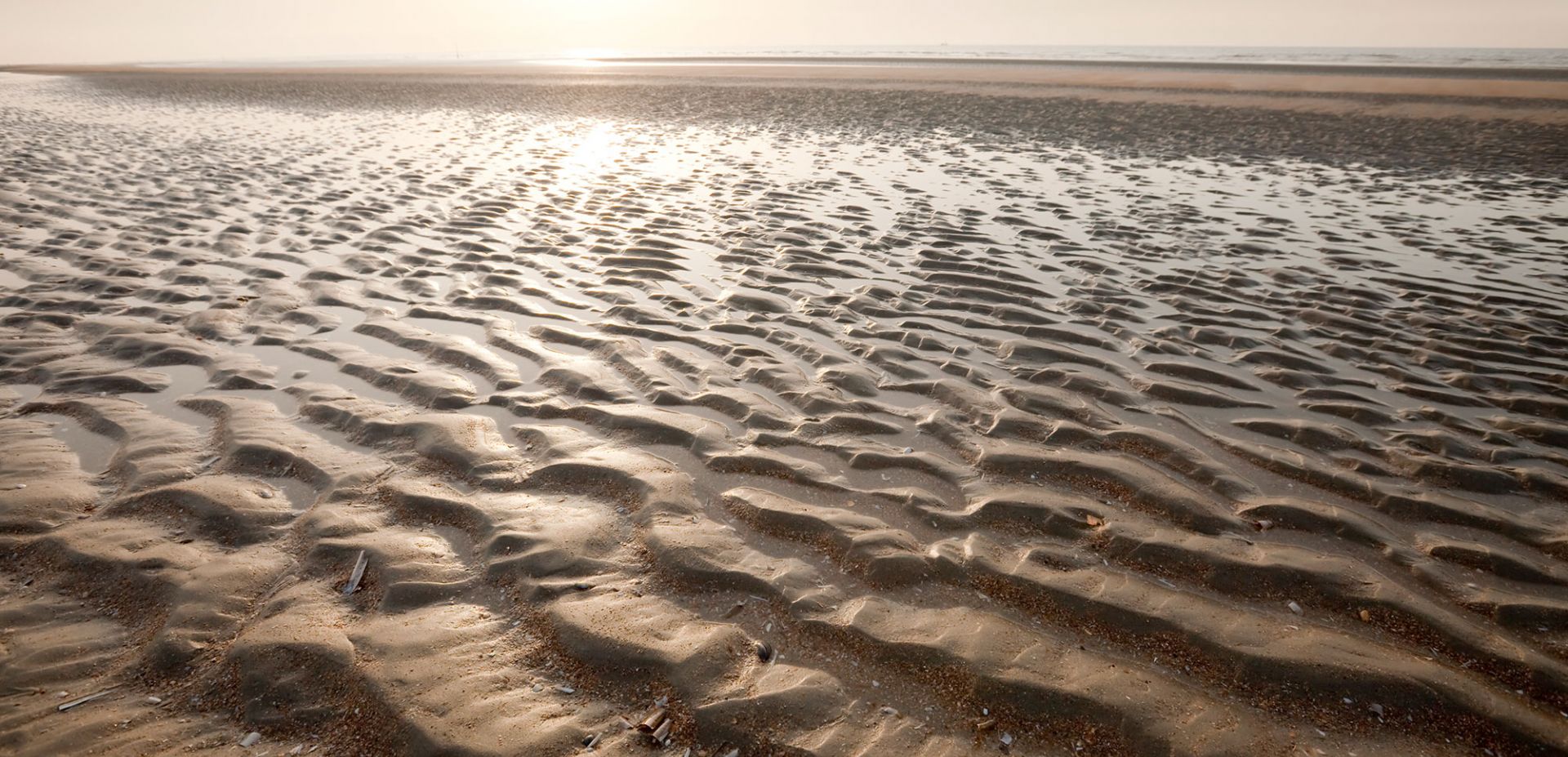 Das Wattenmeer bei Ebbe mit seichten Wellen und Mustern im nassen Sand, in dem sich das helle Sonnenlicht in der Ferne unter einem dunstigen Himmel spiegelt.